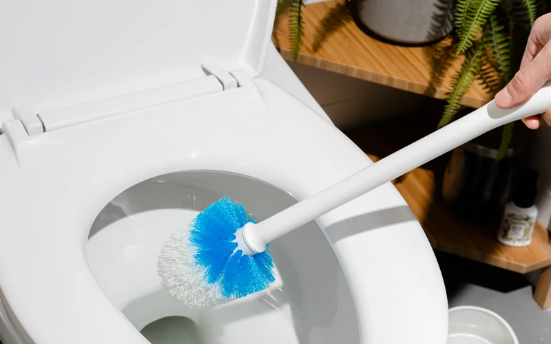 Toilet And Bathroom Cleaning
